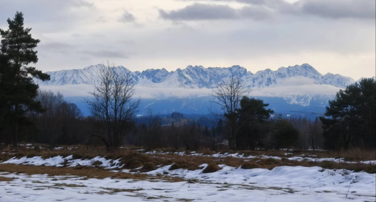 Felietony , Fundacja Obrony Podhala czeka góralska apokalipsa - zdjęcie, fotografia