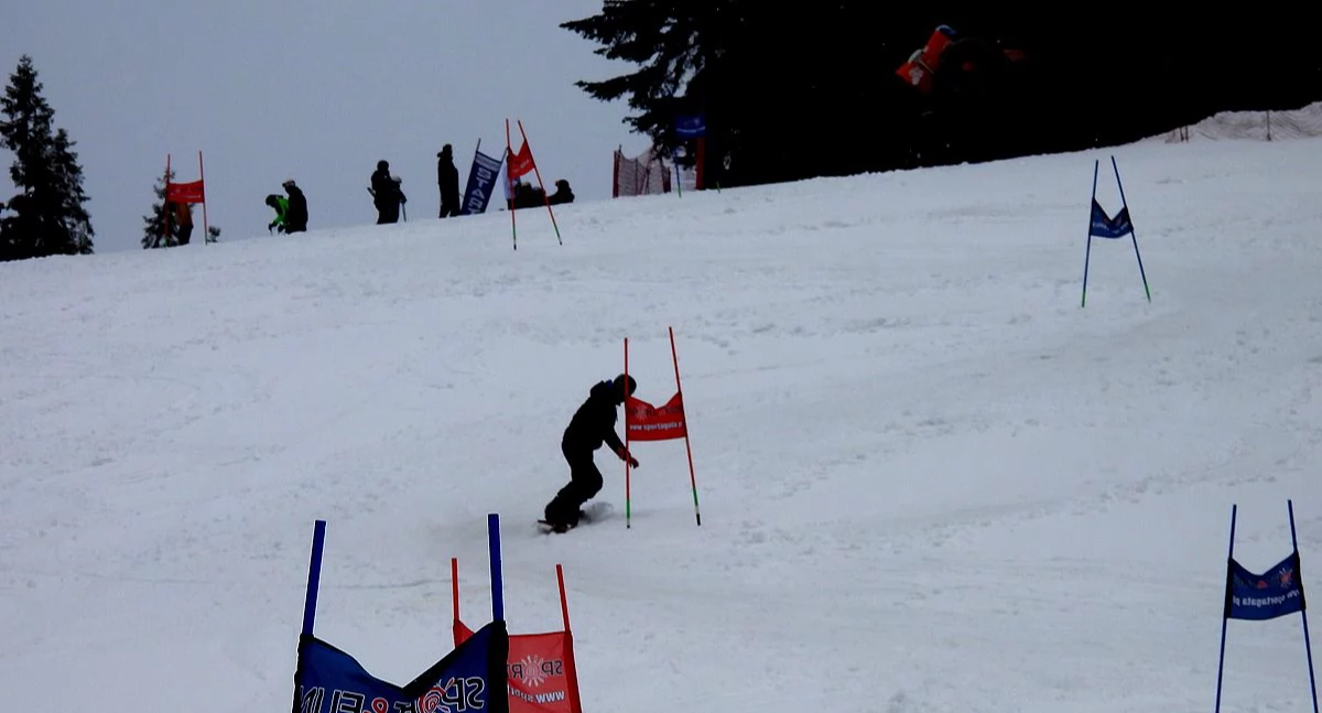 Fot. Prywatne Liceum Ogólnokształcące dla Młodzieży w Nowym Targu