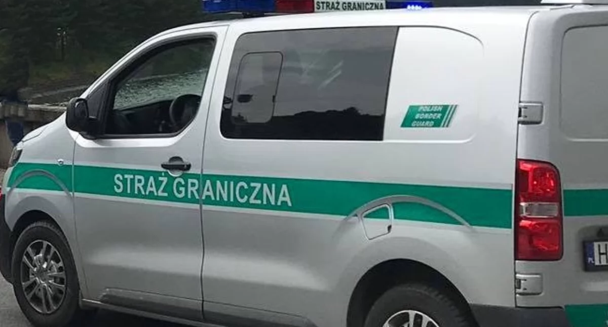 Zatrzymania, Interwencje wykroczenia zakończone deportacją Decyzja wobec obywatelki Ukrainy - zdjęcie, fotografia