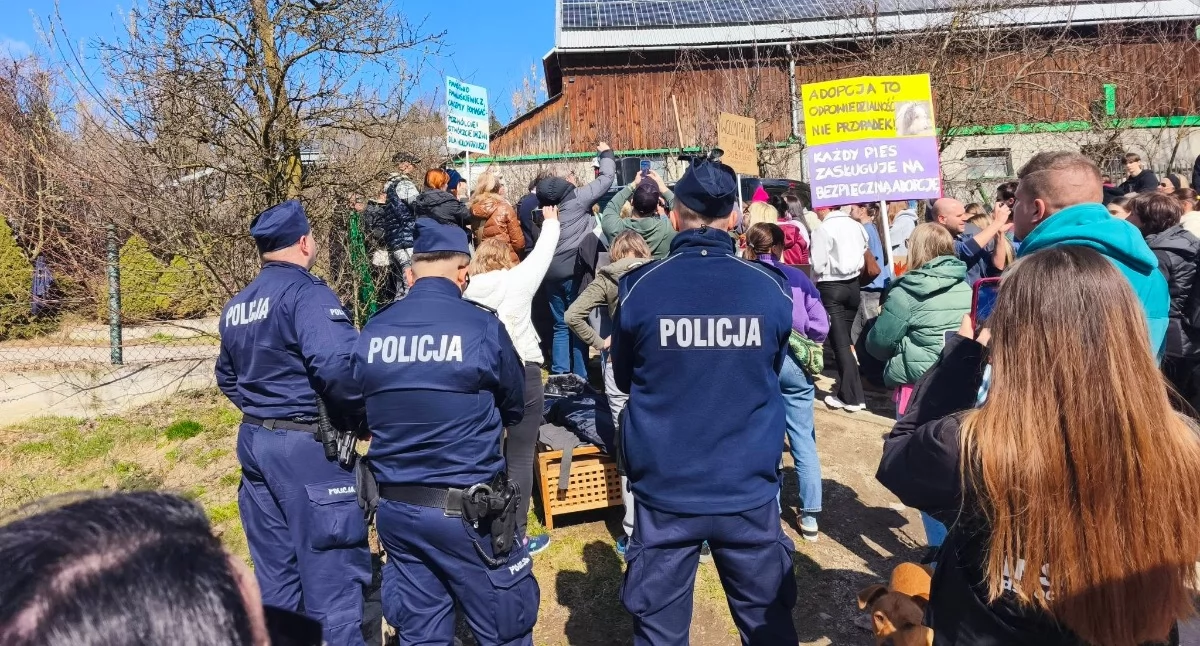 Policyjne, Zgłoszenie znęcaniu zwierzętami demonstracji przed schroniskiem Nowym Targu pilna interwencja udziałem technika kryminalistyki weterynarzy - zdjęcie, fotografia