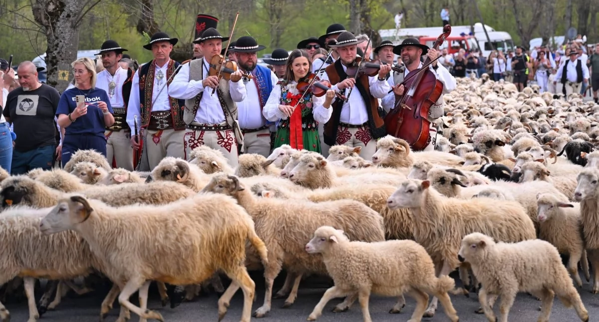 Samorząd, Szczawnica stawia pasterstwo podpisano ważne porozumienie - zdjęcie, fotografia