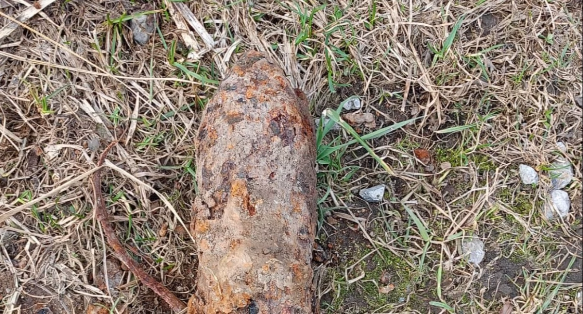 Policyjne, Niebezpieczne znalezisko Lipnicy Wielkiej miejscu policja - zdjęcie, fotografia