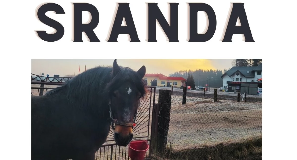 Sprawy lokalne, Sranda adopcji Ruszył nabór zgłoszeń Jabłonce - zdjęcie, fotografia