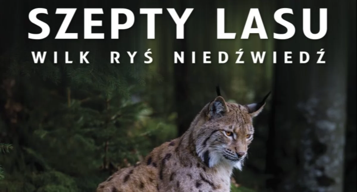 Kino, Premiera „Szeptów lasu” Przyrodnicza opowieść Beskidów wielkim ekranie - zdjęcie, fotografia