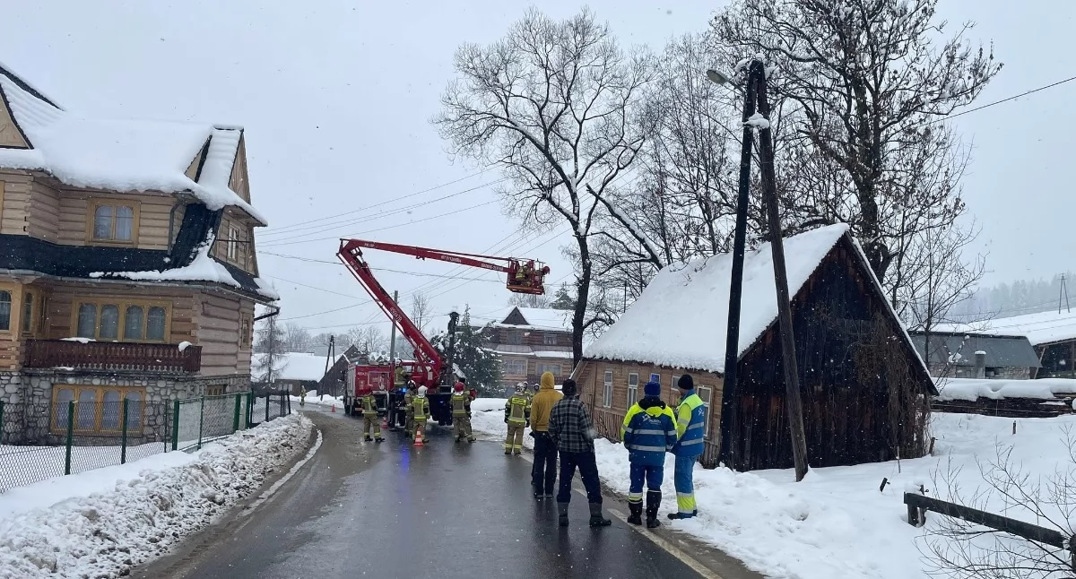Zagrożenia miejscowe, Ciche drzewo zagroziło budynkowi linii energetycznej - zdjęcie, fotografia