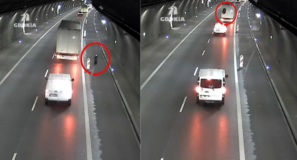 Fot. Klatki z filmu GDDKiA