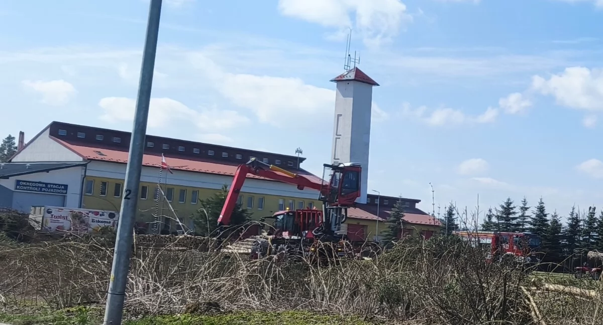 Straż Pożarna, Wycinka drzew Nowym Targu ruszają przygotowania budowy nowej komendy powiatowej Państwowej Straż Pożarnej - zdjęcie, fotografia