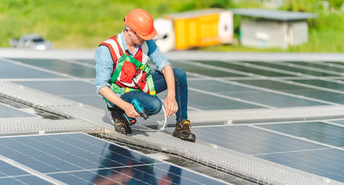 Różne, Zielone kompetencje kursy związane które szybko zwracają - zdjęcie, fotografia