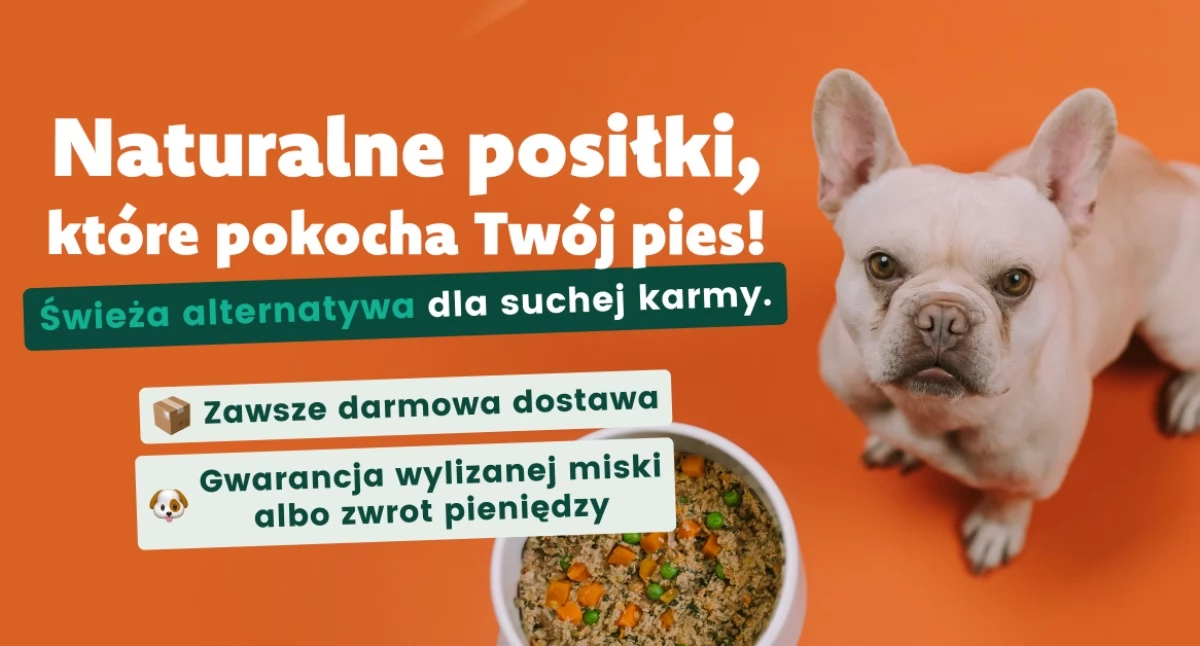 Różne, każdy powinien jeść dlaczego catering tworzy indywidualne posiłki każdego - zdjęcie, fotografia