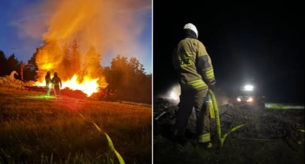 Pożary, Cichem paliła sterta trudno dostępnym terenie - zdjęcie, fotografia