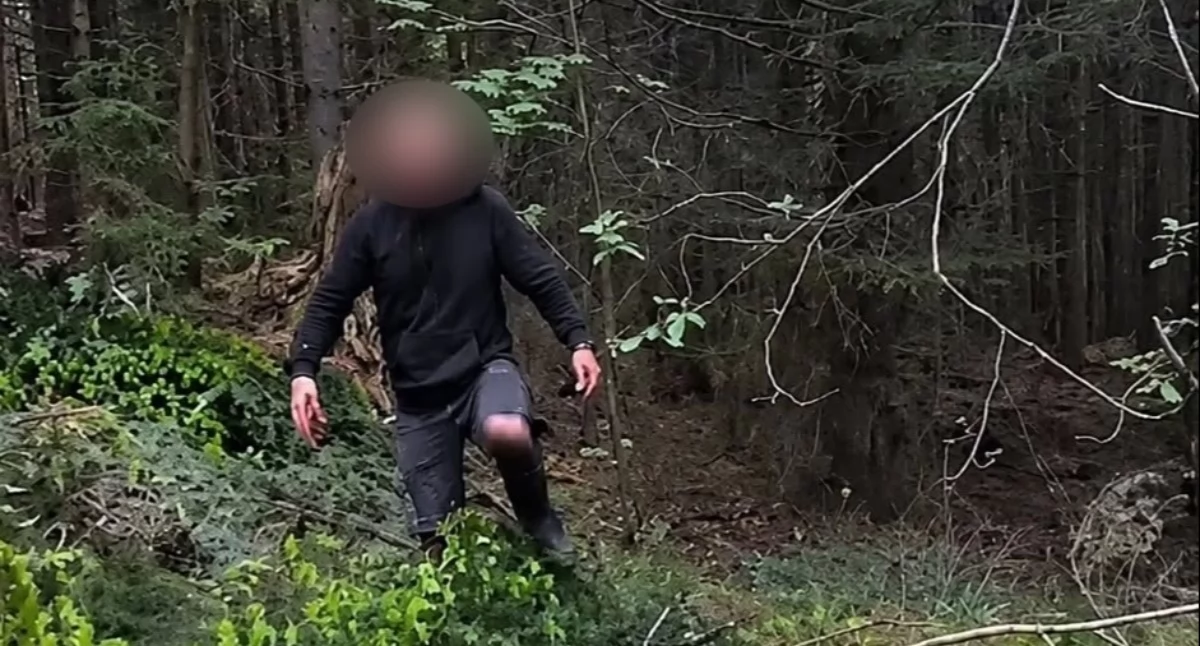 Informacje 112, Przyłapany lesie Nowym Targiem Nielegalny proceder zakończył wysokimi mandatami - zdjęcie, fotografia