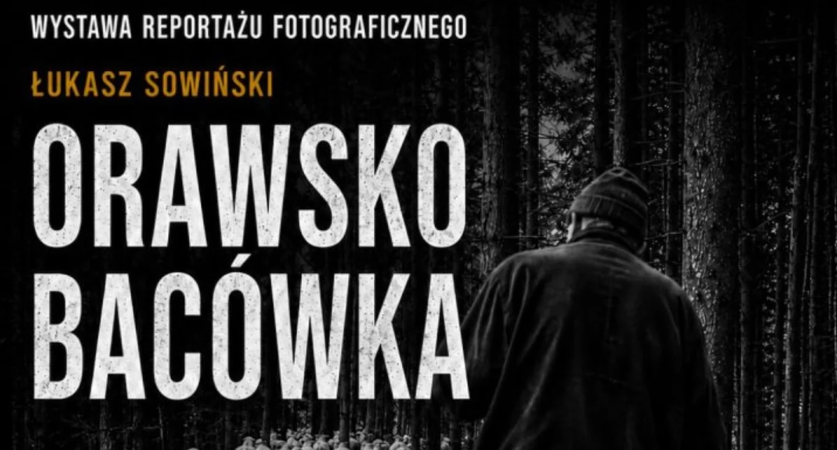 Wystawy, wygląda prawdziwe życie bacówce Wyjątkowa wystawa podczas Święta Pasterskiego - zdjęcie, fotografia