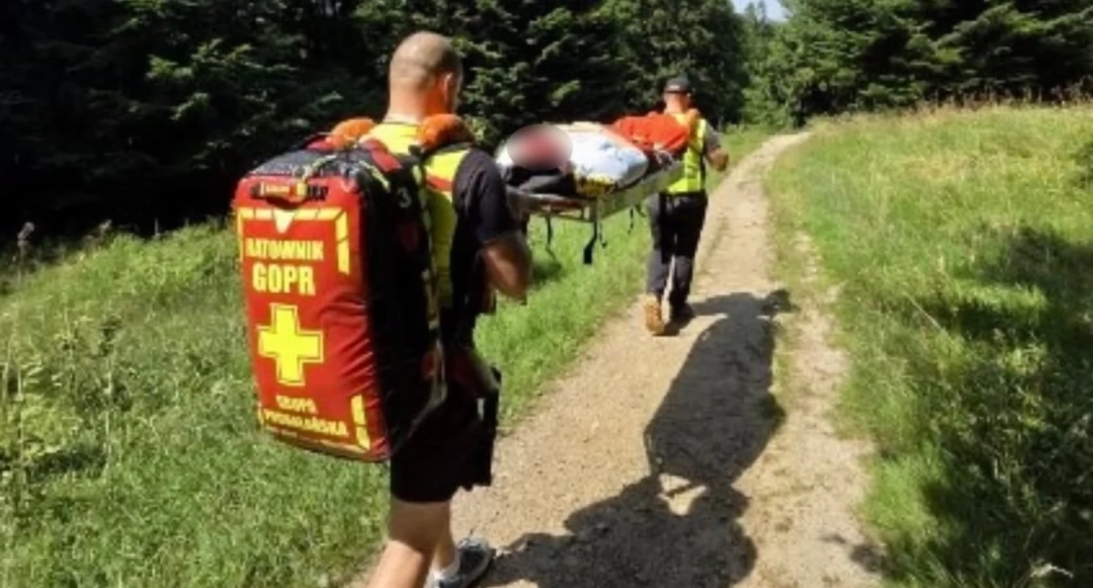 Góry, Tysiące godzin służby dziesiątki akcji podsumował intensywny lipiec - zdjęcie, fotografia