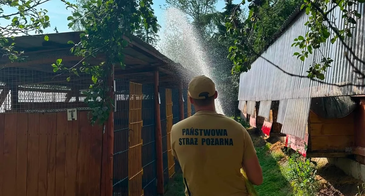 Fot. KP PSP Nowy Targ