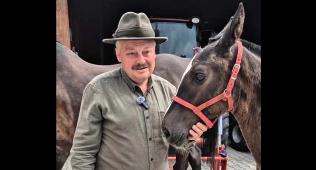 Sprawy lokalne, Konie podhalańska tradycja Edward Staszel opowiada wielopokoleniowej głębokiej więzi miłości zwierząt - zdjęcie, fotografia