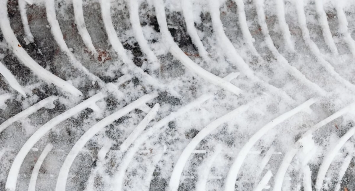 Różne, dezynfekcyjna chlewni obory rozmiary fermowe przydomowe - zdjęcie, fotografia