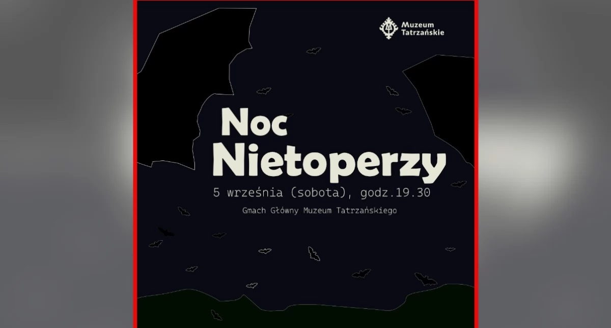 Spotkania, Nietoperze zmroku Zakopanem odbędzie wyjątkowe spotkanie - zdjęcie, fotografia