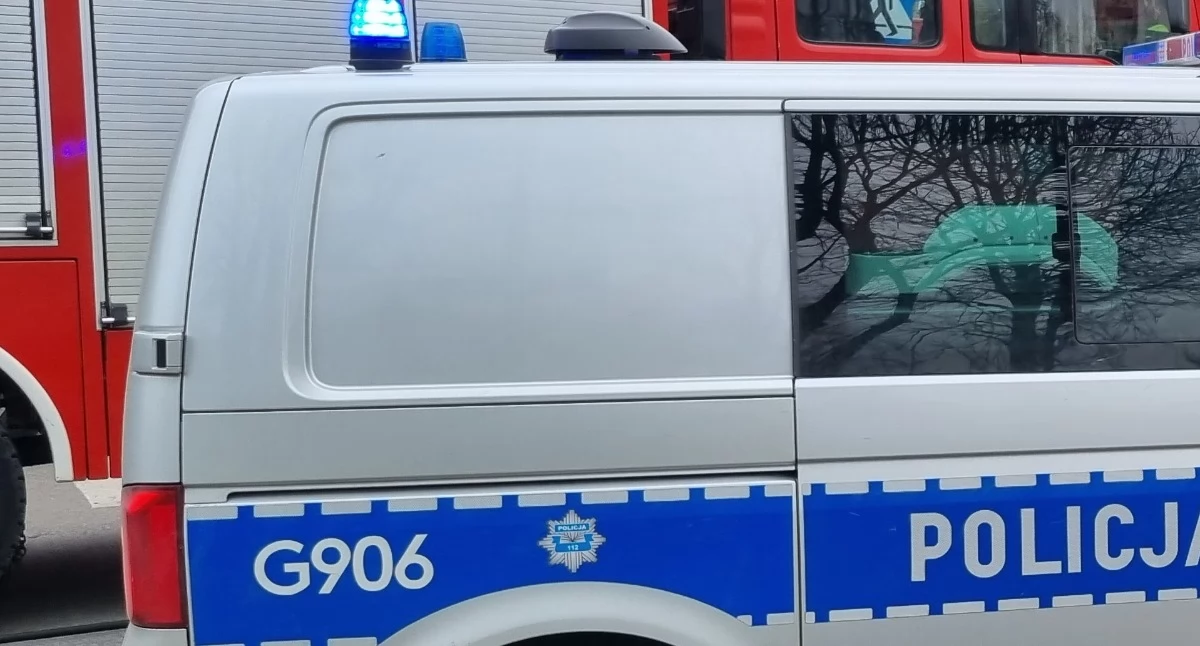 Fot. Poglądowe