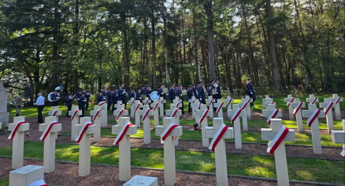 Historia i pamięć, mogił żołnierzy wśród górale Andrzej Podczerwonego Habura Nowego Targu służący Polskiej Dywizji Pancernej Stanisława Maczka uroczystości Polskim Cmentarzu Wojskowym belgijskim Lommel - zdjęcie, fotografia