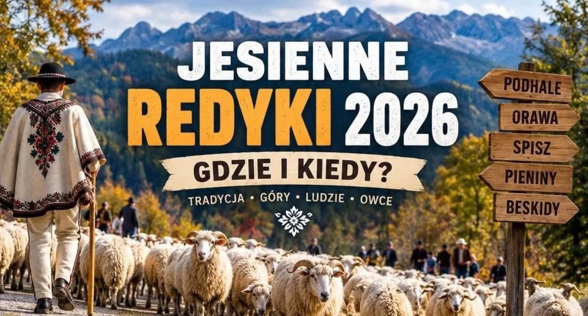 Folklor, Jesienne redyki Sprawdź aktualne terminy - zdjęcie, fotografia