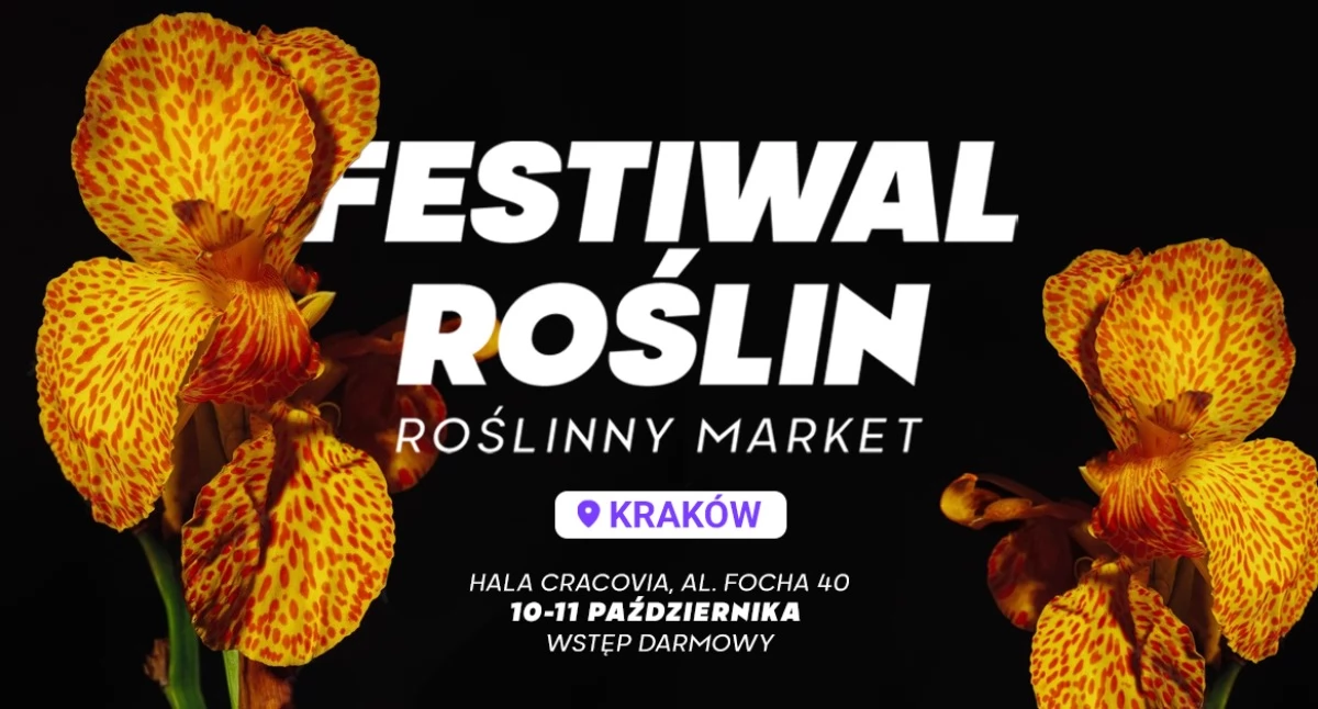 Targi, Festiwal Roślin Krakowie - zdjęcie, fotografia