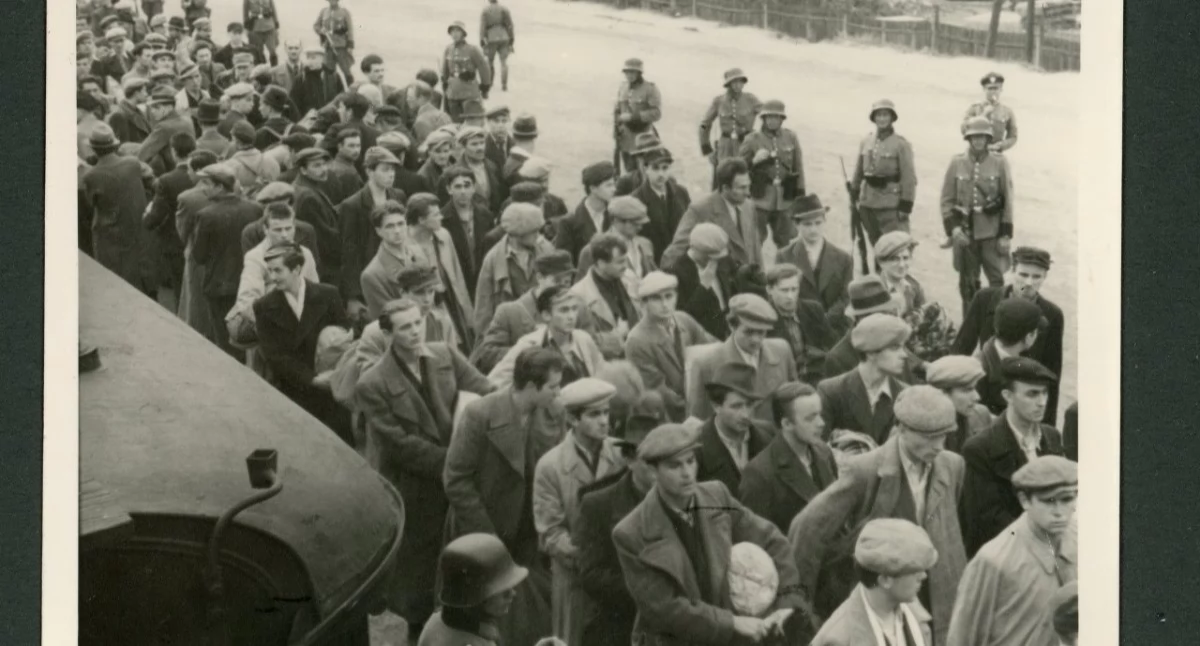 Historia i pamięć, Kazimierz Górka Nowego Targu więzień transportu Polaków Auschwitz - zdjęcie, fotografia