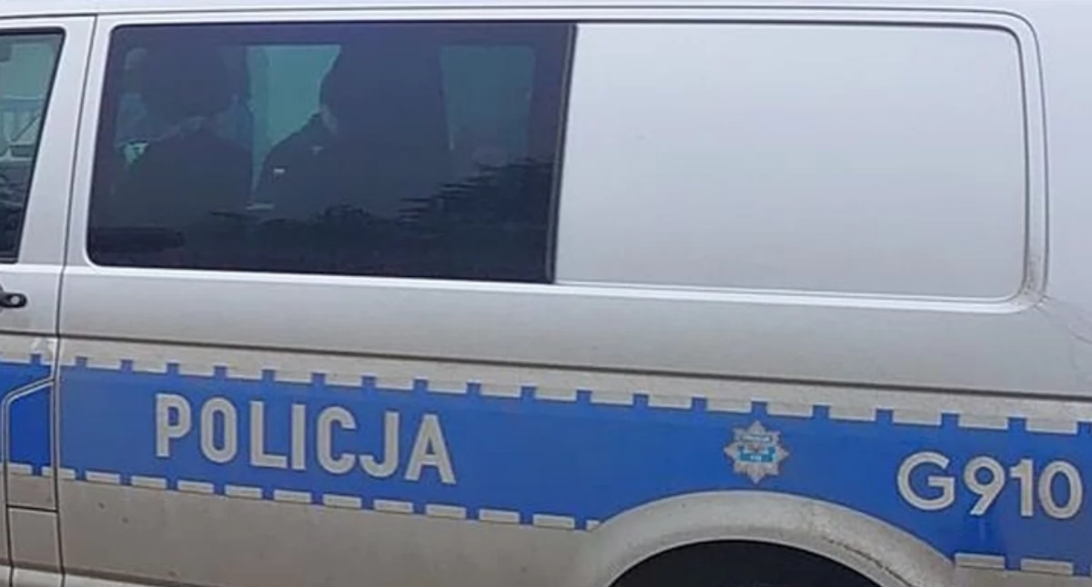 Fot. Poglądowe