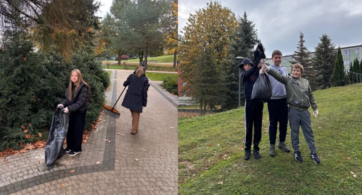 Przyroda, Szkoła Podstawowa Zespół Szkół Ekonomicznych Nowym Targu wspólnie zadbały czystość miasta - zdjęcie, fotografia