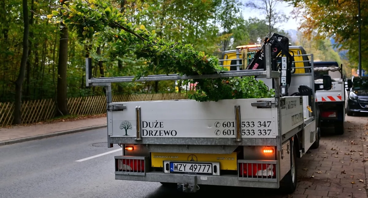 Fot. Urząd Miasta Zakopane