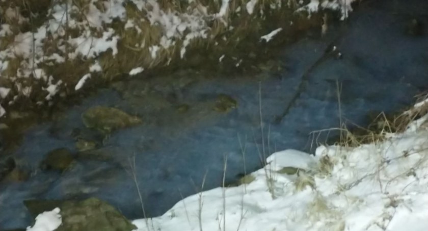 fot. czytelnik