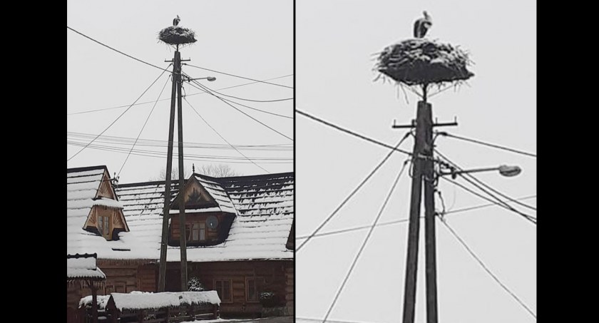 fot. FB Chochołów
