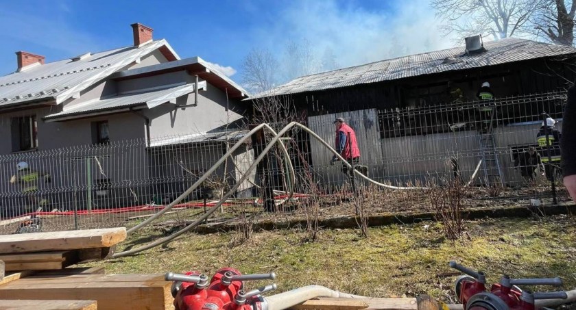 fot. czytelnicy