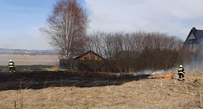 fot. czytelnicy