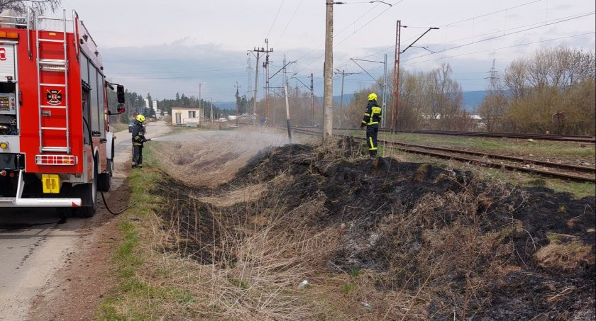 fot. czytelnik