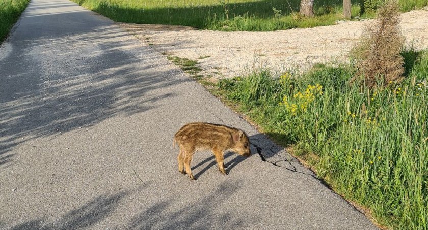fot. czytelnik