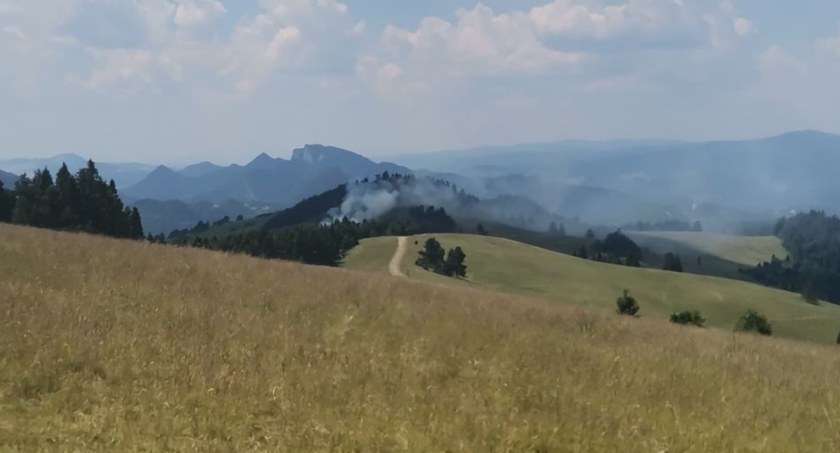Fot. czytelnik