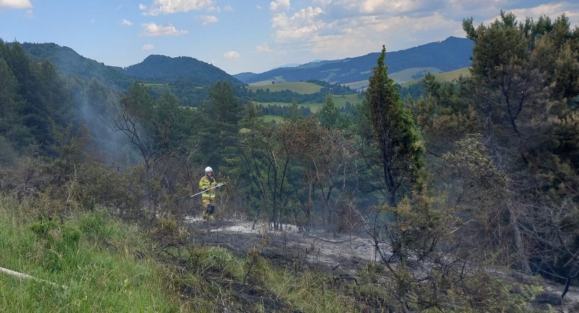 fot. OSP Szczawnica, OSP Szlachtowa i OSP Jaworki