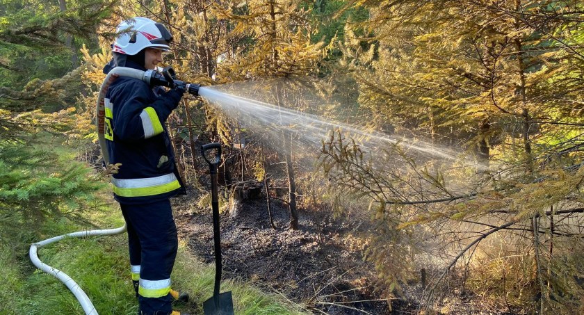 Pożar lasu w Starem Bysrem / fot. czytelniczka i OSP Stare Bystre