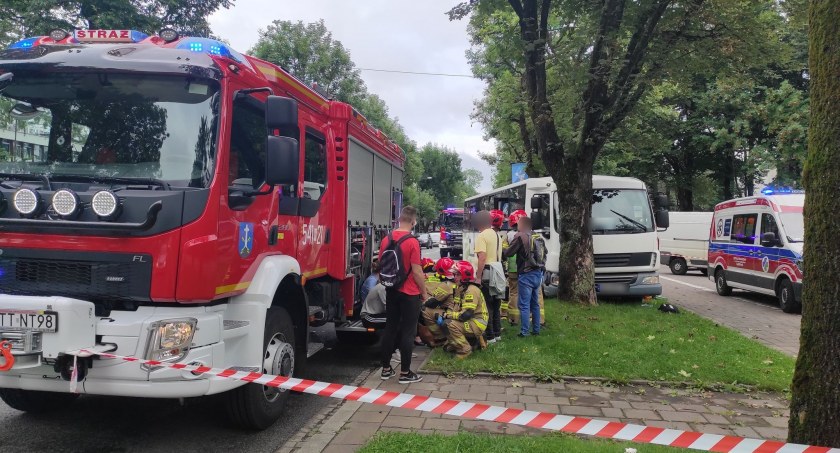 Bus uderzył w drzewo /Fot. czytelnik