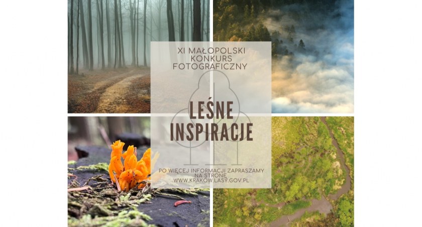 Przyroda, Wyłoniono laureatów małopolskiego konkursu fotograficznego rozdania nagród grudniu - zdjęcie, fotografia