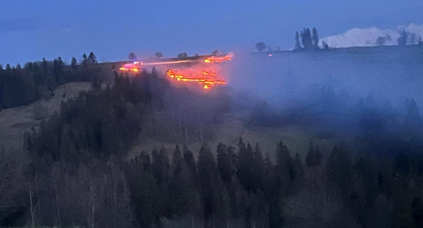 fot. czytelnik