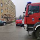 Fotka nr 5 z 7