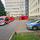 Fotka nr 4 z 12