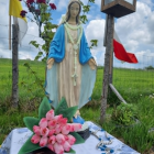zdjęcie nr 10