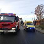 Fotka nr 2 z 21