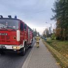 Fotka nr 4 z 9