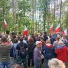zdjęcie nr 17