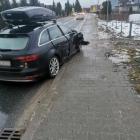 Fotka nr 5 z 7