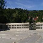 Fotka nr 4 z 11