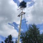 Fotka nr 4 z 19